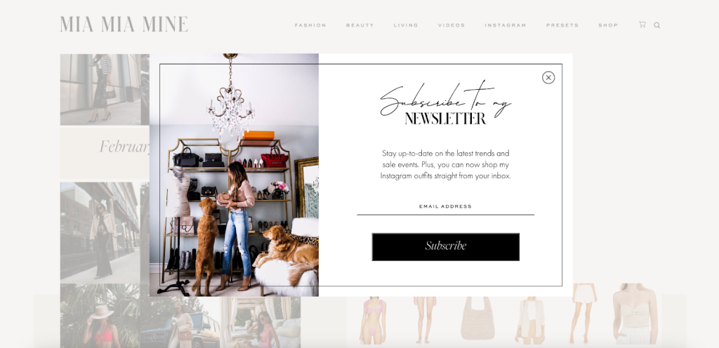 A pop-up form on the website with the headline “Subscribe to my newsletter” and an email field