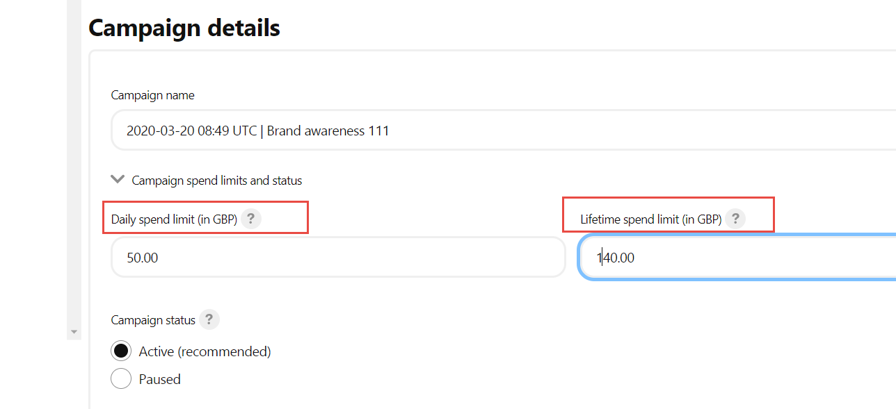 A screenshot of the Campaign Details section on Pinterest
