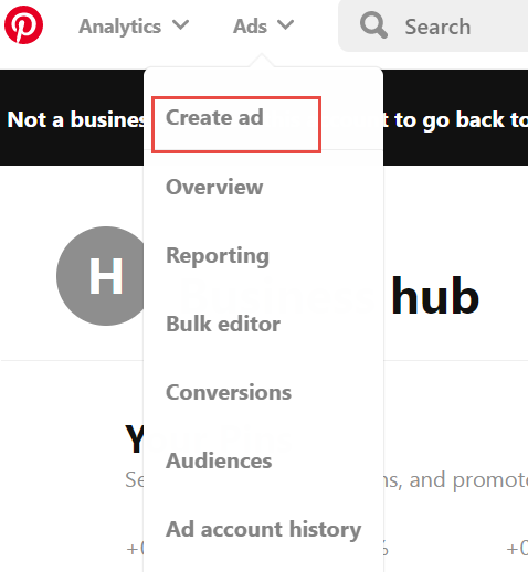 A screenshot of the Ads section on Pinterest