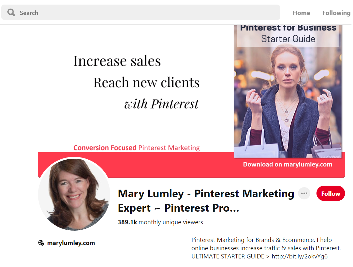 A screenshot of a popular Pinterest profile featuring a description of marketing services