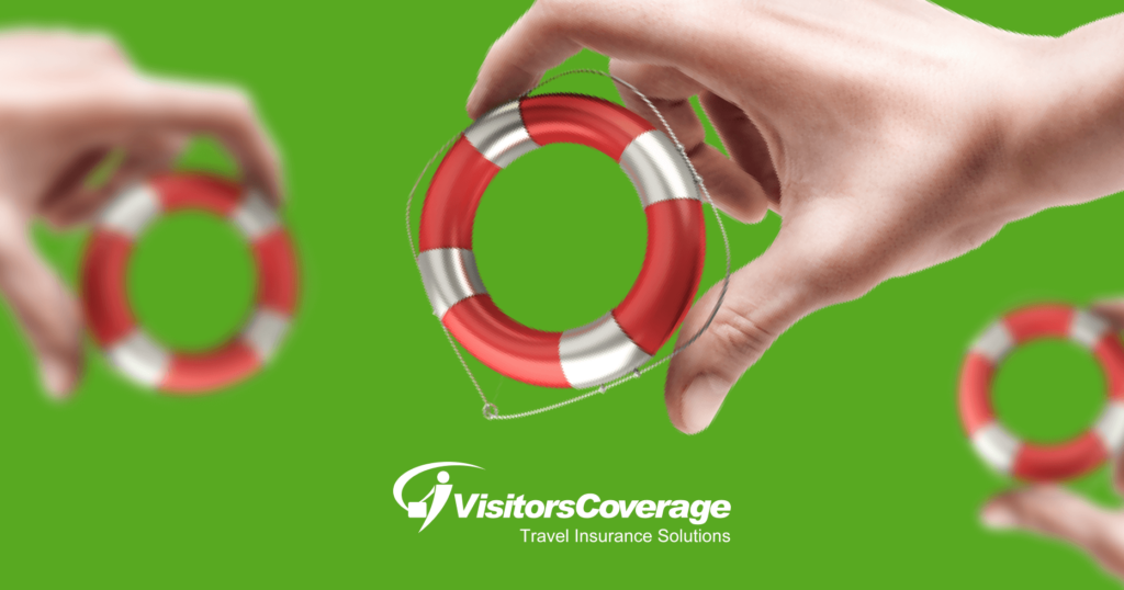 How to earn money with the VisitorsCoverage affiliate program