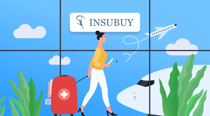 How to earn with travel insurance with Insubuy