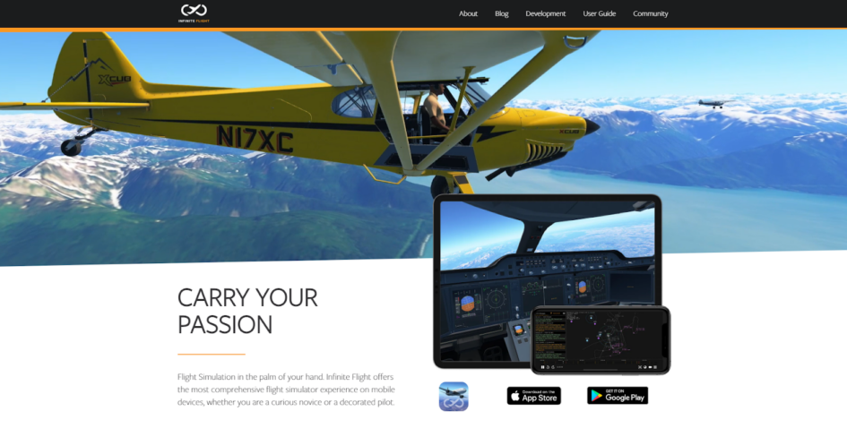 Infinite Flight API Review: How to Get Started