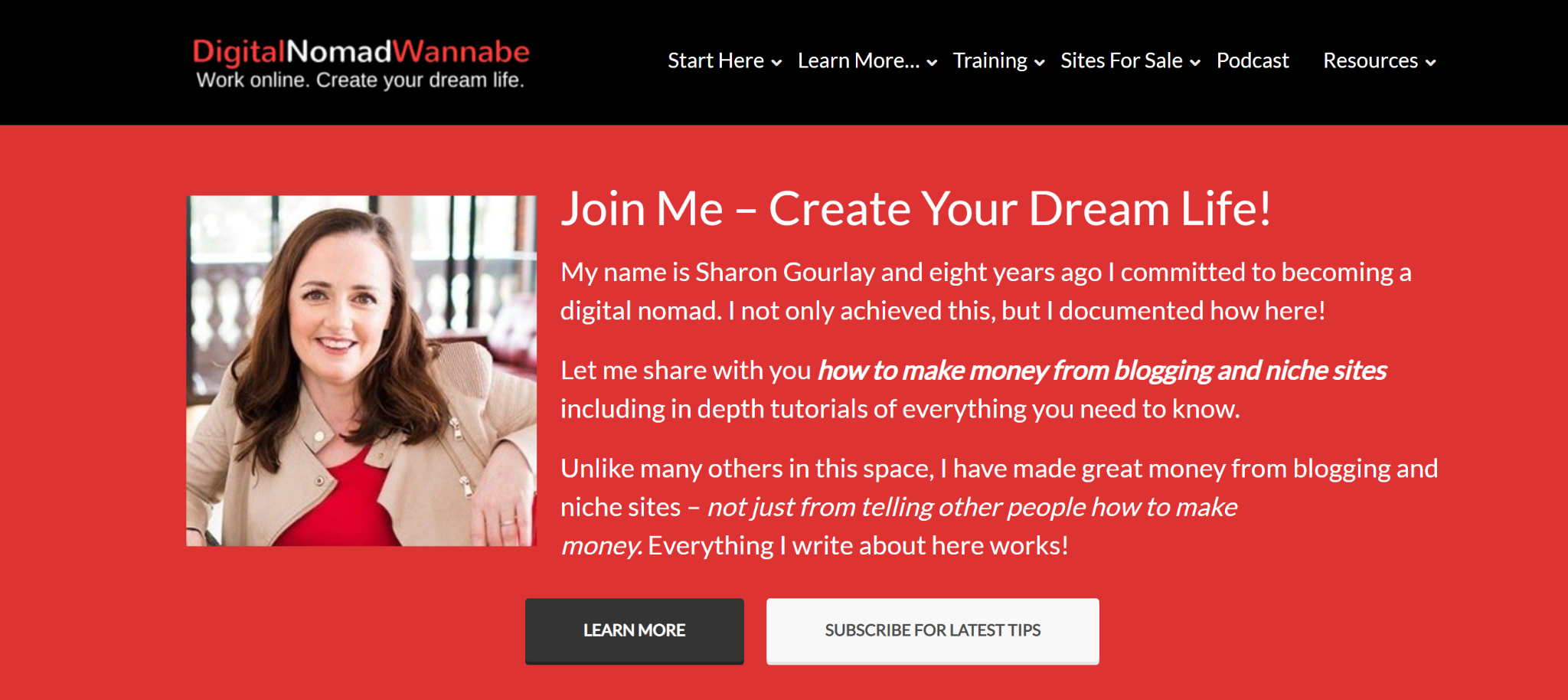 A screenshot featuring the homepage of  Digital Nomad Wannabe  