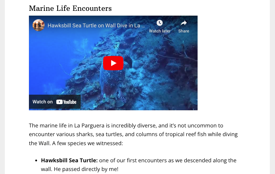 The image above displays a screenshot from a website utilizing a video to illustrate ideas from the story. The video is of a sea turtle encounter while scuba diving, while the text of the article describes how witnessing these creatures is possible at the given destination.