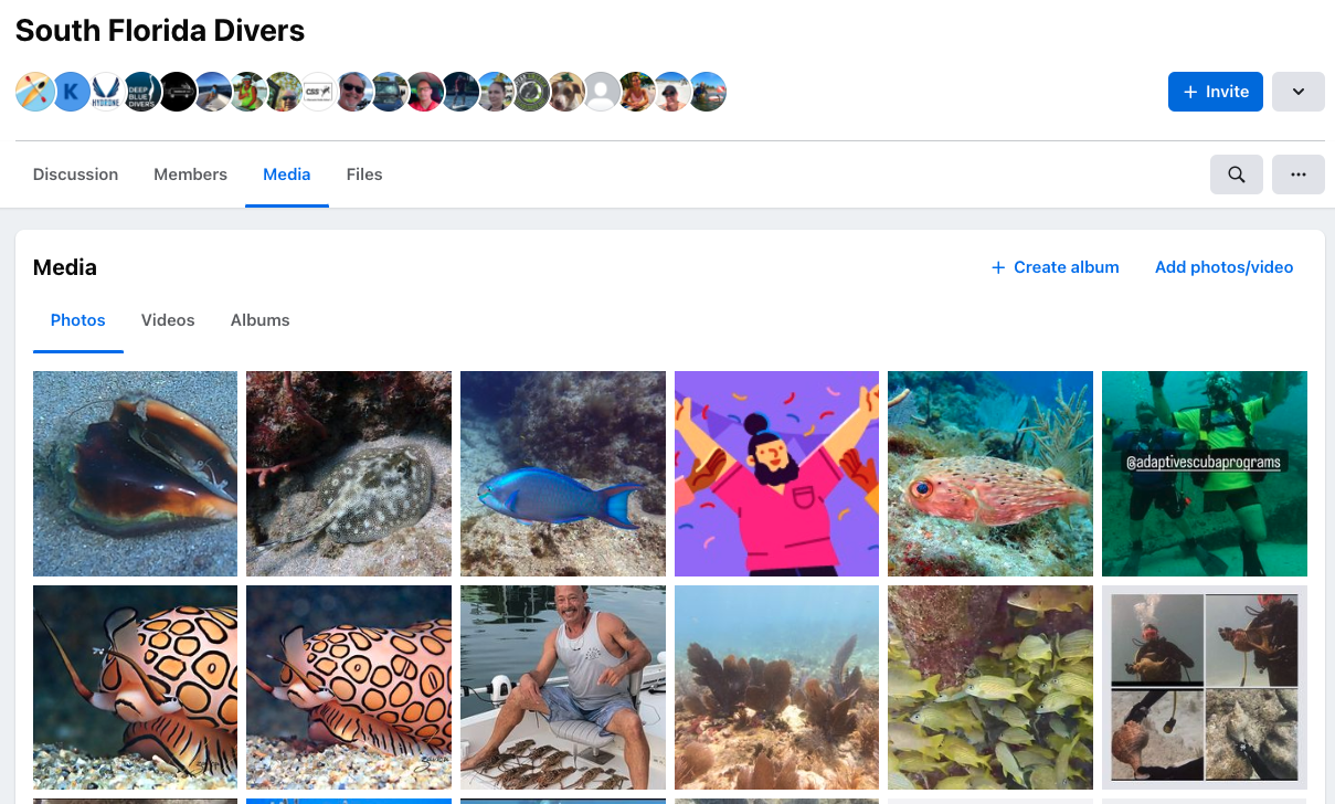 The image displays a screenshot of a Facebook Group titled “South Florida Divers,” which demonstrates to niche nature of Facebook Groups and how they can benefit travel bloggers. The Facebook Group features a gallery of shared photos of marine life underwater photography.