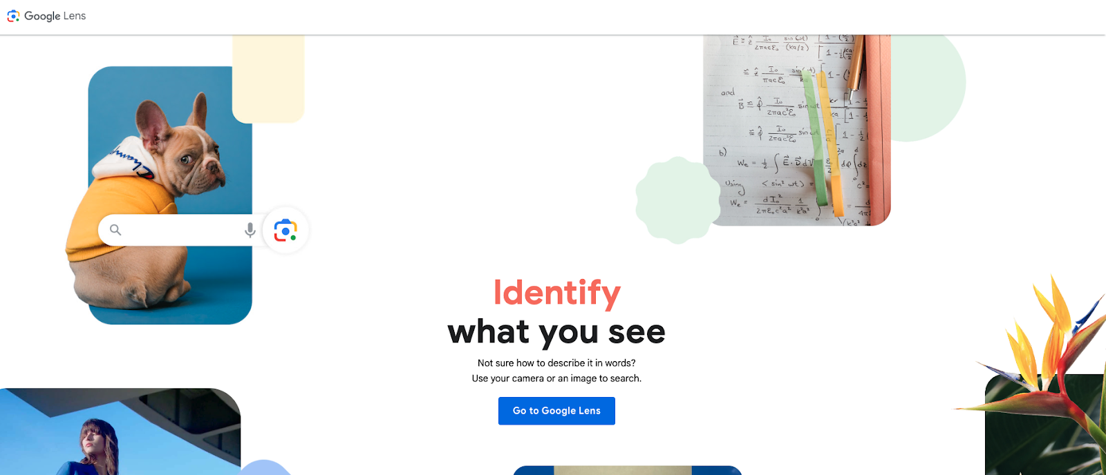 The image displays the homepage for Google Lens. The webpage conveys how you can identify what you see simply by taking a picture of the item, including flowers, pets, fashion, and arithmetic. Other utilizations of the program include translations and search engines.