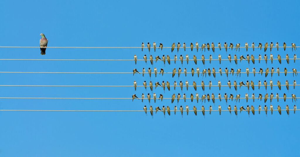 Делаем выбор: большой тревел-портал или несколько нишевых сайтов